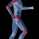 sportska prehrana, upala, protuupalna hrana, mikrotraume,