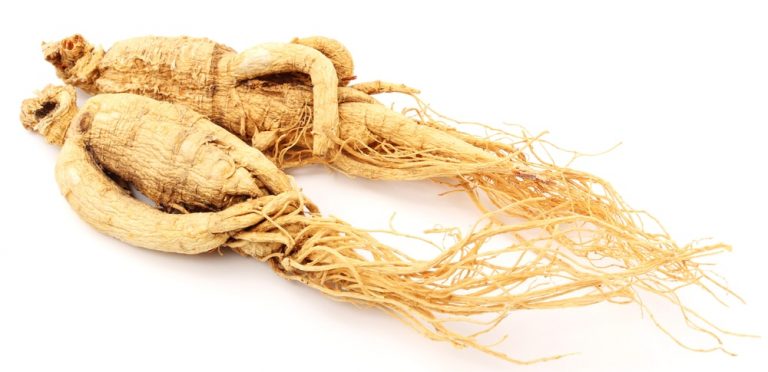 ginseng