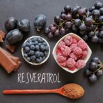 Foods rich in resveratrol. Resveratrol is a powerful antioxidant. Grape, plum, blueberry, raspberry, dark chocolate, and cocoa powder as natural sources of resveratrol and antioxidants. Healthy diet.