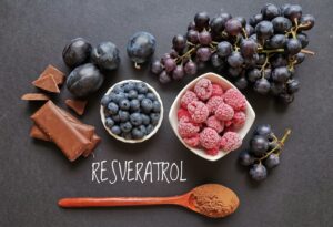 Foods rich in resveratrol. Resveratrol is a powerful antioxidant. Grape, plum, blueberry, raspberry, dark chocolate, and cocoa powder as natural sources of resveratrol and antioxidants. Healthy diet.
