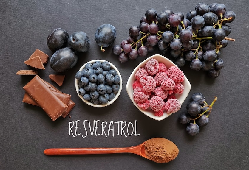 Foods rich in resveratrol. Resveratrol is a powerful antioxidant. Grape, plum, blueberry, raspberry, dark chocolate, and cocoa powder as natural sources of resveratrol and antioxidants. Healthy diet.