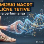 Prikaz histoloških promjena u tendinopatiji - analiza dr. med. Predrag Jakovljević